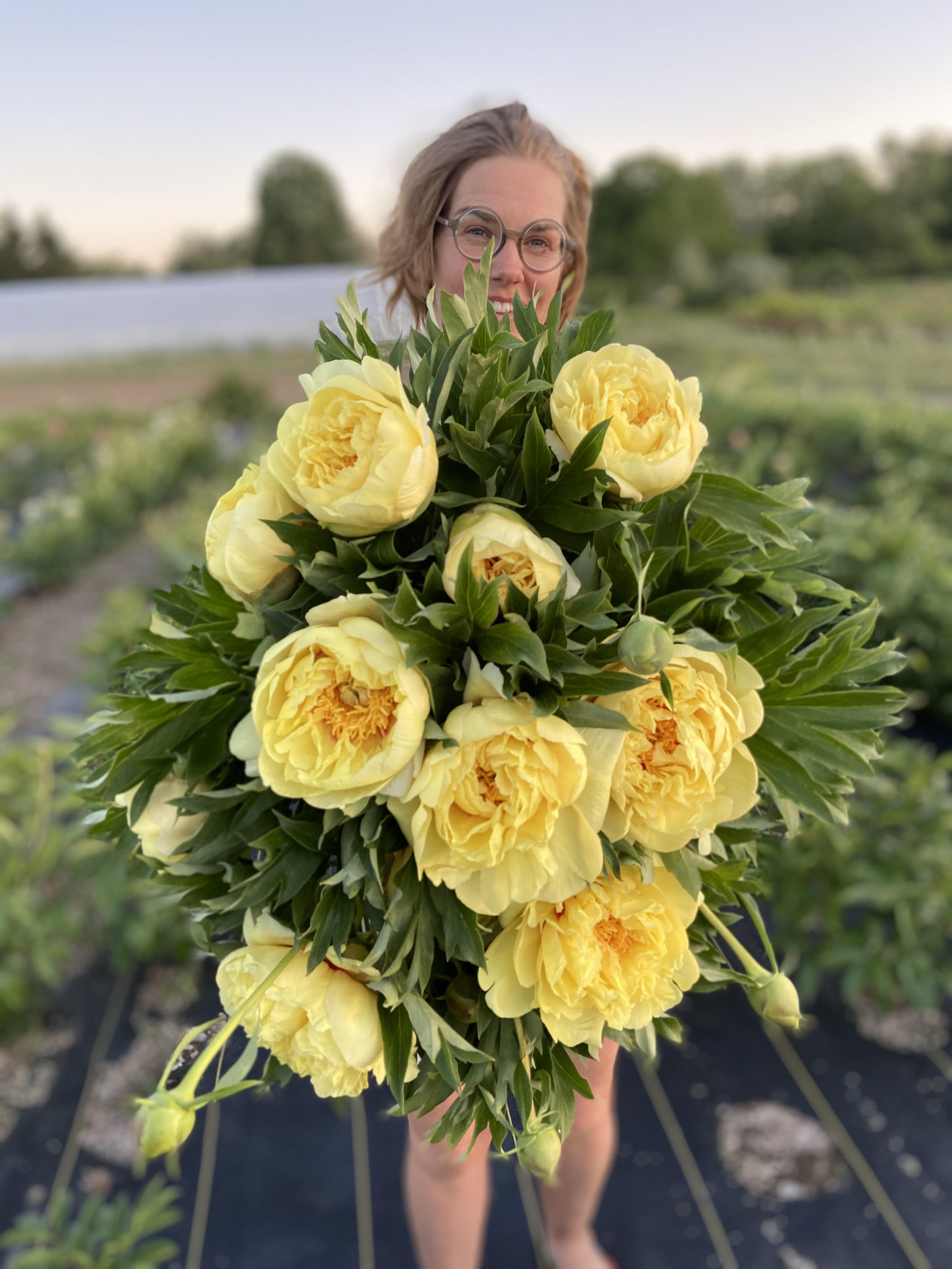 Peony 'Bartzella' - Image 3