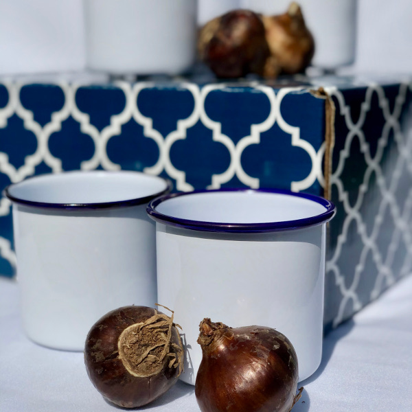 Paperwhite Pots (5) - Gift Box