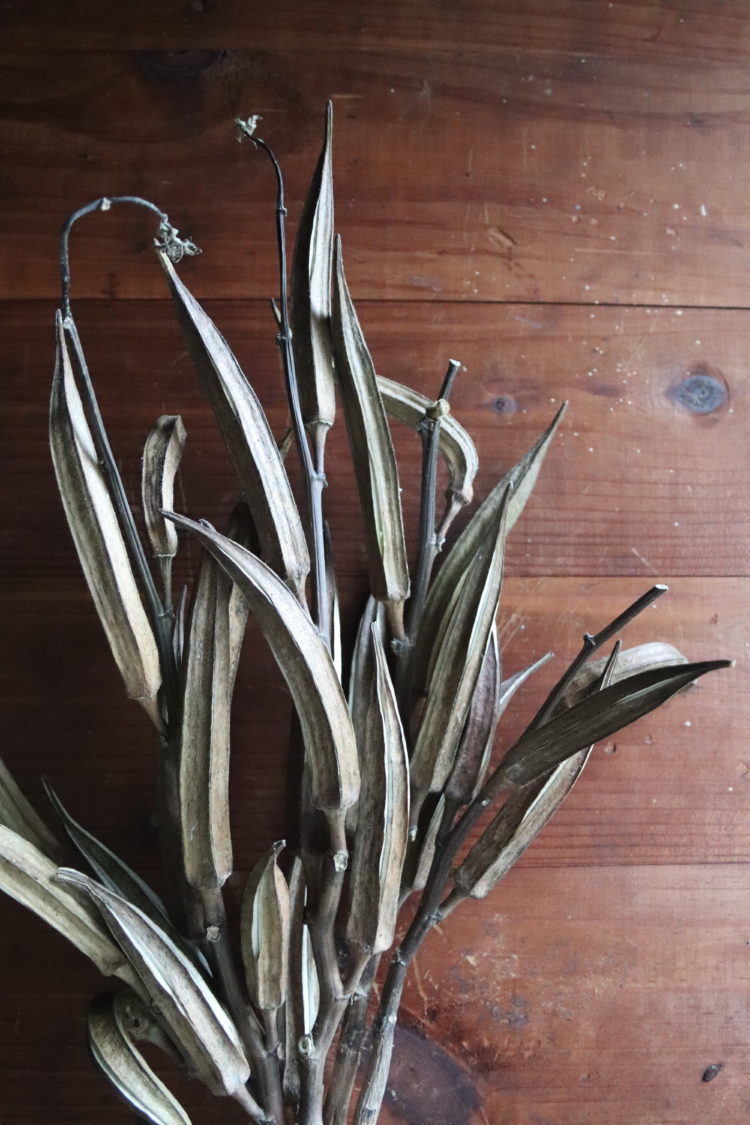 Dried Okra Pod