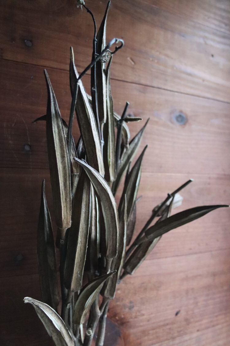 Dried Okra Pod - Image 2