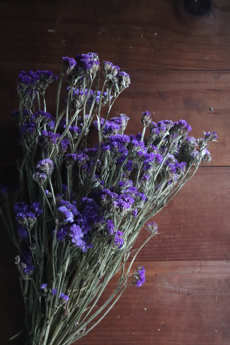 Dried Statice, purple