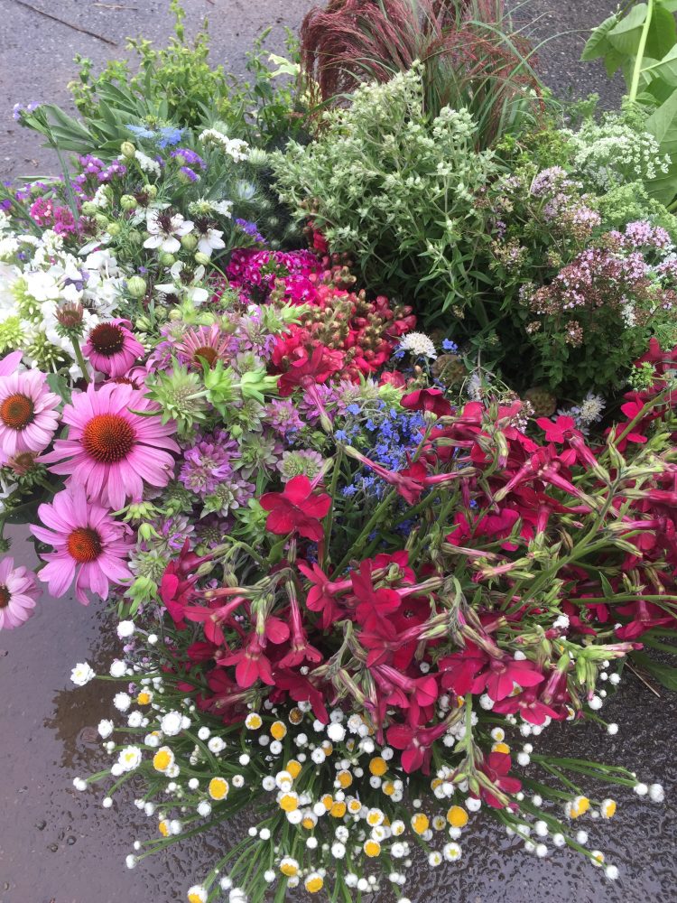 D.I.Y. - Bulk Flower Buckets - Image 2