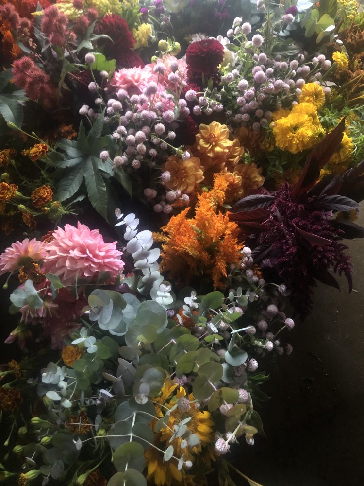 D.I.Y. - Bulk Flower Buckets - Image 10