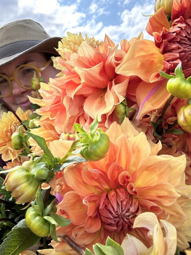 Cool Luke, dahlia tuber