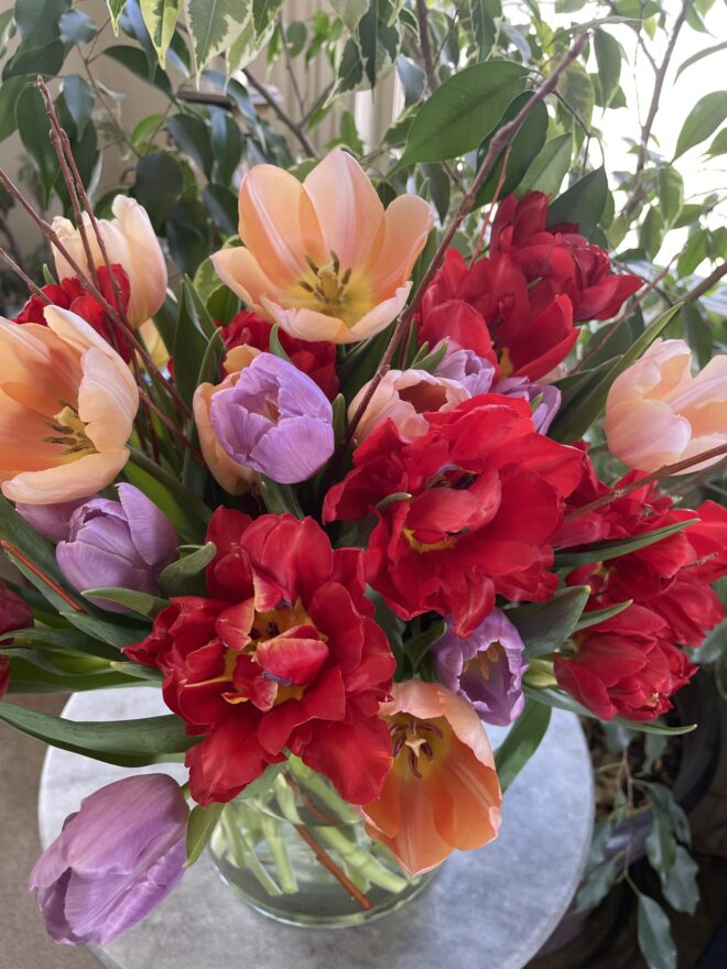 Valentine's Tulip Vase (large)